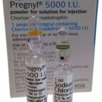 Pregnyl 5000 iu injection